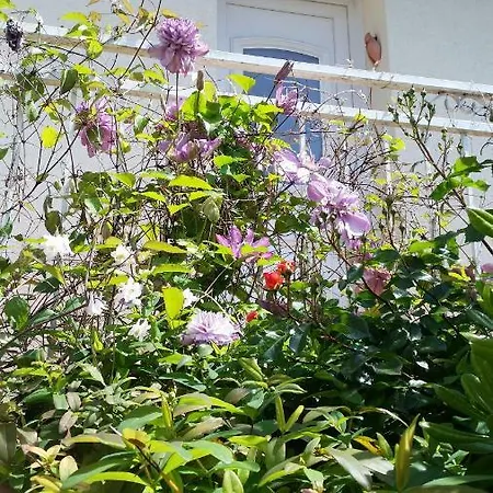 Bed & Breakfast Avec Jardin Pierre Curie 3*