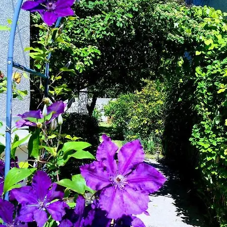 Chambre Avec Jardin Pierre Curie Oda ve Kahvaltı 3*